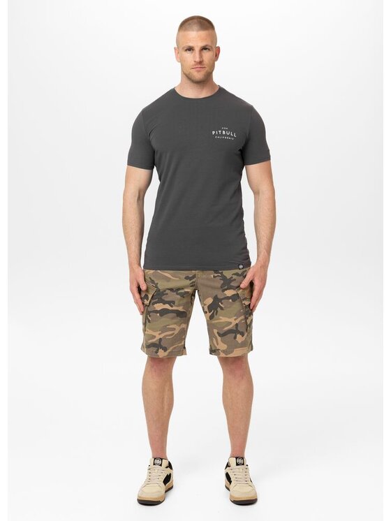 PITBULL PITBULL T-Shirt Slim Fit USA CAL Szary Regular Fit