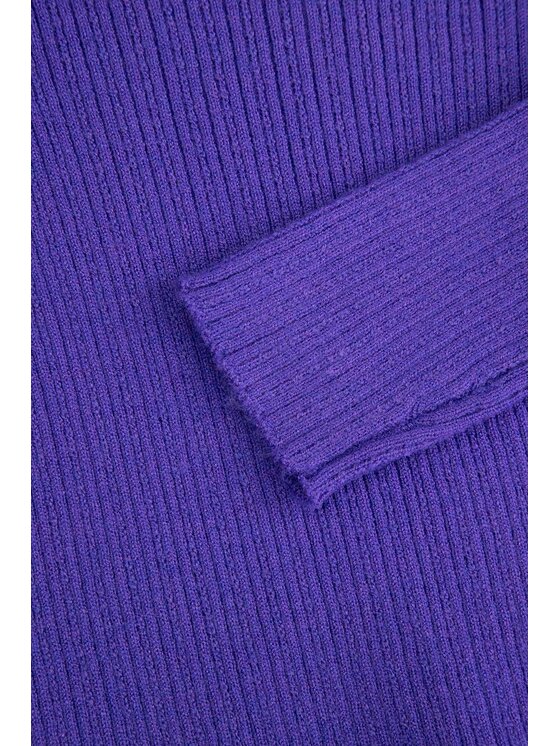Coccodrillo Coccodrillo Sveter ZC5172102RGK-016 Fialová Regular Fit
