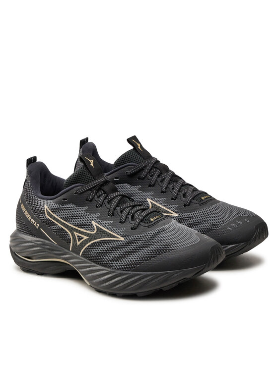 Mizuno Mizuno Взуття для бігу Wave Rrider GTX 2 J1GD247921 Чорний