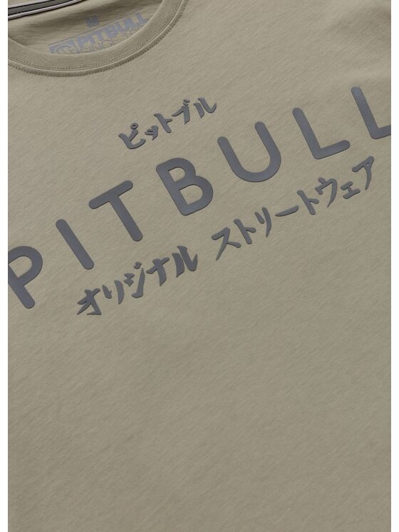 PITBULL PITBULL T-Shirt Koszulka męska MT. FUJI 3XL Szary Regular Fit