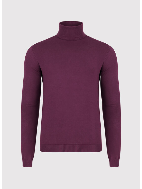Pako Lorente Pako Lorente Sweter P26WN-2X-016 Bordowy Classic Fit