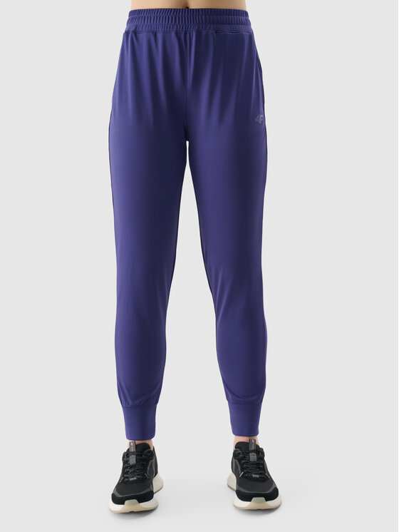 4F 4F Spodnie dresowe BASIC+ Granatowy Regular Fit