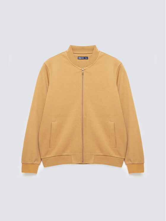 BIG STAR BIG STAR Bluza WLADORB Brązowy Basic Fit