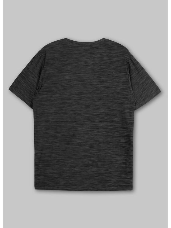 PITBULL PITBULL Koszulka techniczna Koszulka Casual Sport Small Logo S Czarny Regular Fit