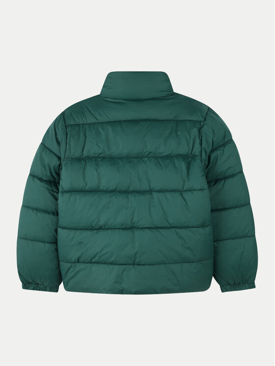 HUGO HUGO Žieminė striukė G00198 D Žalia Regular Fit