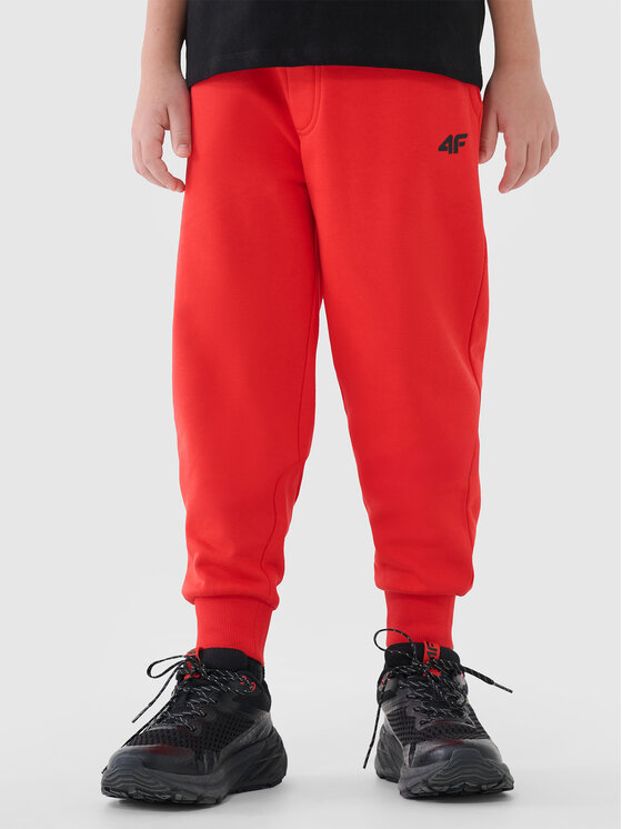 4F 4F Spodnie dresowe BASIC+ Pomarańczowy Regular Fit