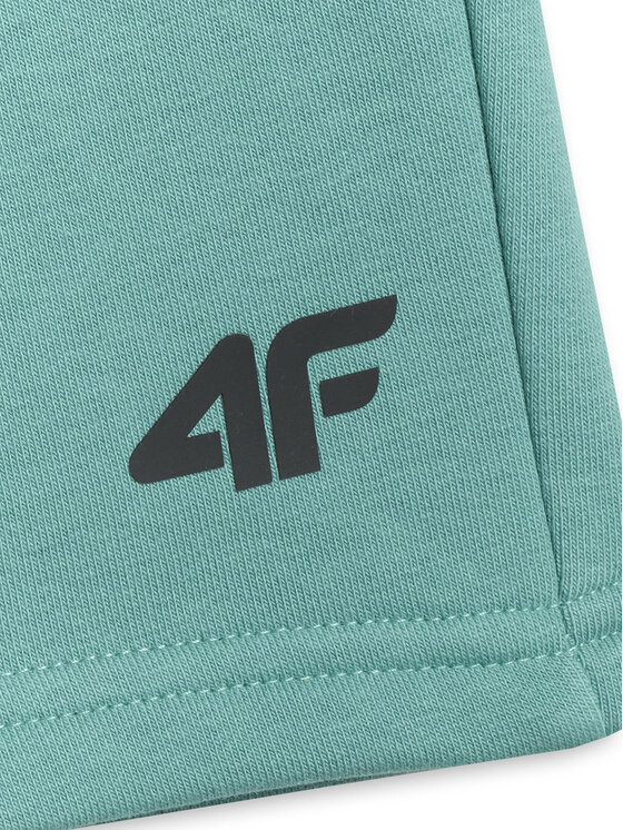 4F 4F Szorty sportowe BASIC+ Turkusowy Regular Fit