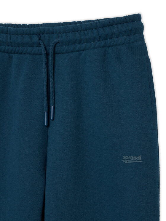 Sprandi Sprandi Спортивні штани W126-SIBSP-1007-19X Cиній Regular Fit