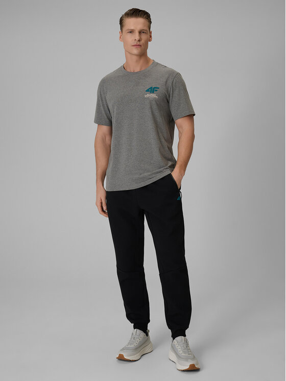 4F 4F T-Shirt COMMERCIAL 12 Szary Regular Fit