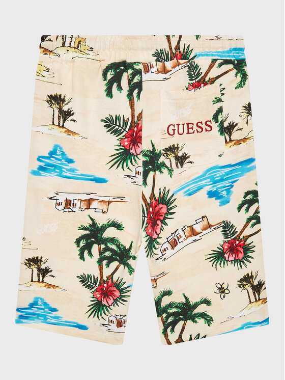 Guess Guess Spordišortsid L3GD04 KA6R3 Värviline Regular Fit