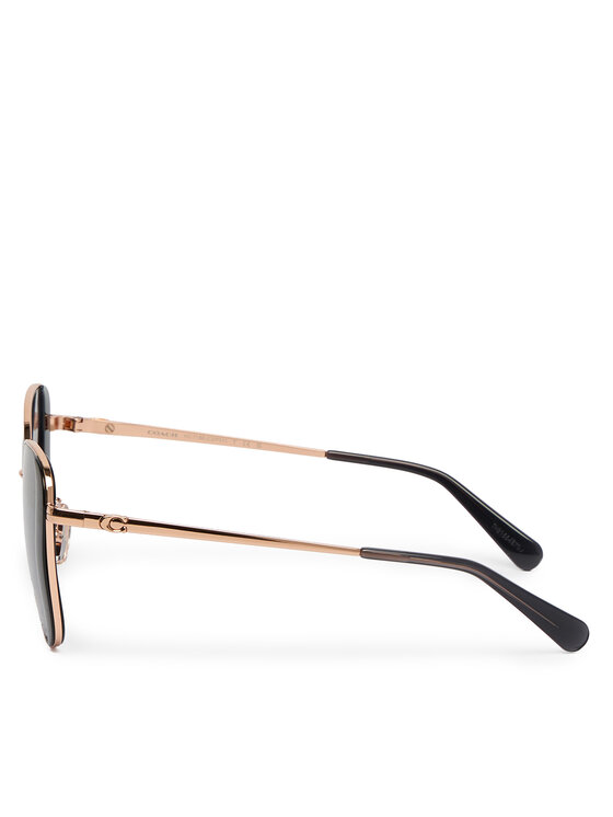 Coach Coach Sonnenbrillen 0HC7188 94078G Schwarz