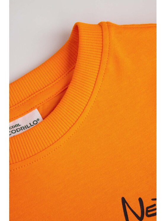 Coccodrillo Coccodrillo T-Shirt ZC6143203VUA-006 Pomarańczowy Regular Fit