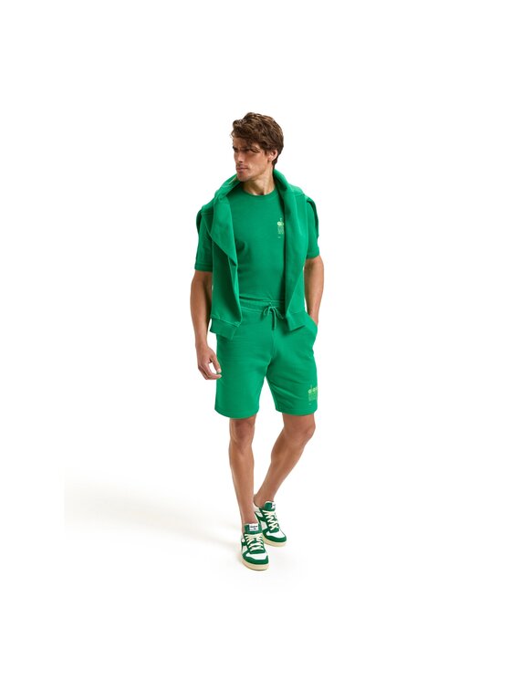 Diadora Diadora Szorty sportowe BERMUDA MANIFESTO Zielony Basic Fit