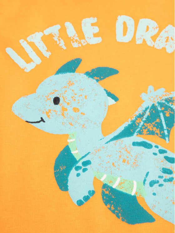 Coccodrillo Coccodrillo T-Shirt WC5143202DBN Oranžová Regular Fit