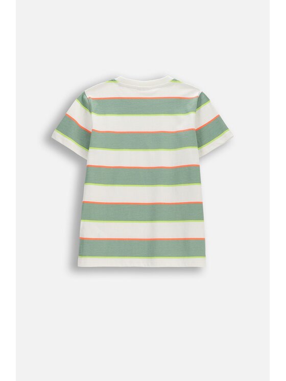 Coccodrillo Coccodrillo T-Shirt WC6143207TBJ-022 Kolorowy Regular Fit