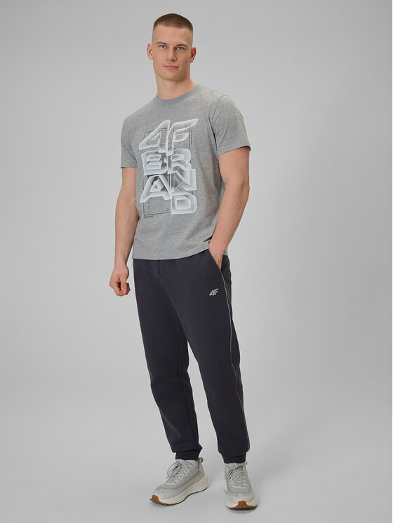 4F 4F T-Shirt WINTER CODE Szary jasny Regular Fit