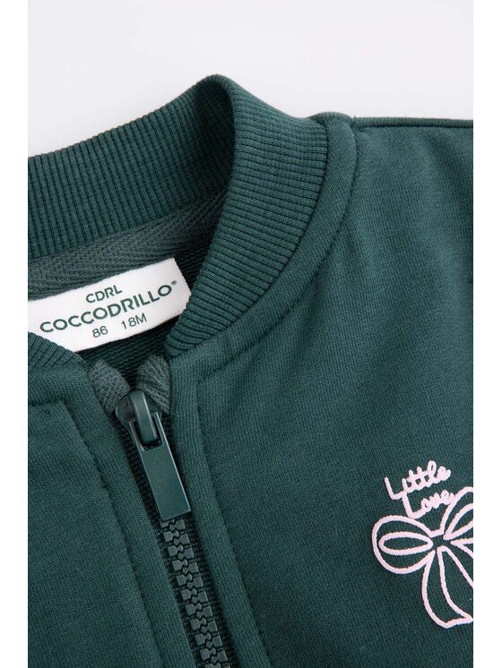 Coccodrillo Coccodrillo Mikina ZC5132204HGN-011 Zelená Regular Fit