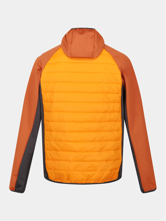 Regatta Regatta Giacca di transizione AndresonVIII Hybrd RMN228 Arancione Regular Fit