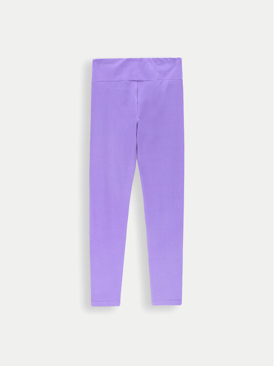 Coccodrillo Coccodrillo Leggings ZC4122108VGA Ljubičasta Slim Fit