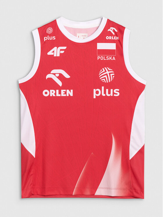 4F 4F Koszulka techniczna TEAMWEAR Kolorowy Regular Fit