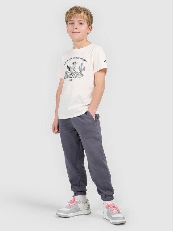 4F 4F T-Shirt HIKING TRIP Biały Regular Fit