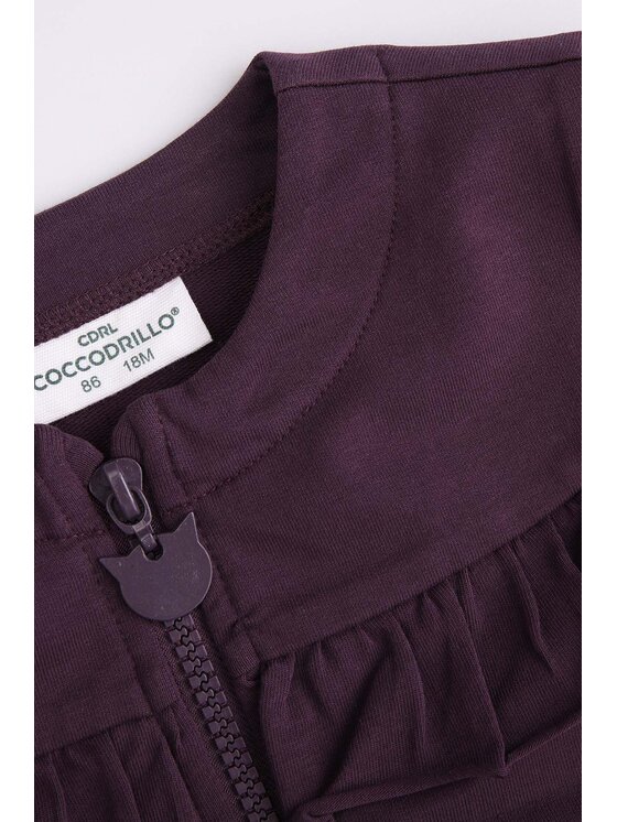 Coccodrillo Coccodrillo Bluza ZC4132202PGN-016 Fioletowy Regular Fit