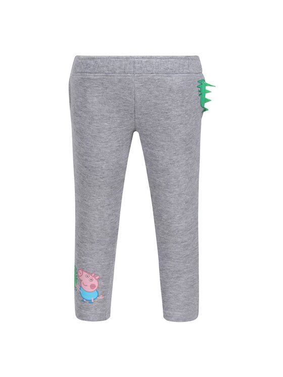 Regatta Regatta Spodnie outdoor RG7612 Szary To Fit