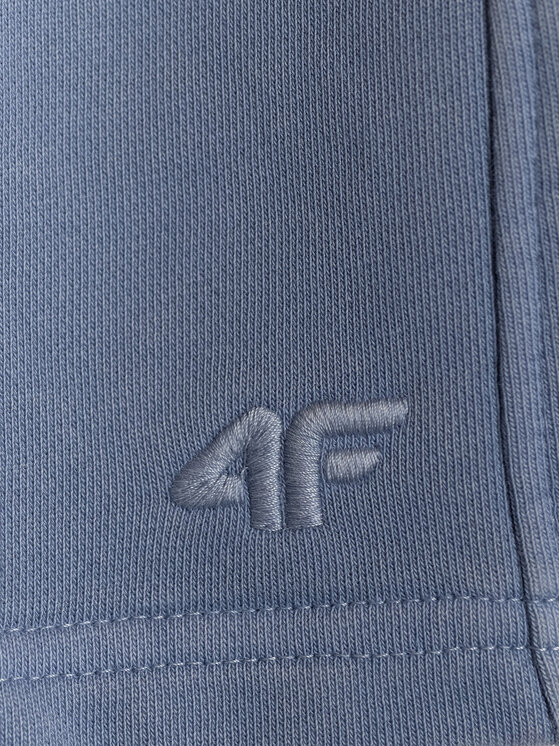 4F 4F Športové kraťasy APRES SEA Regular Fit
