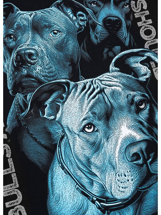 PITBULL PITBULL T-Shirt PROTECTOR Czarny Regular Fit