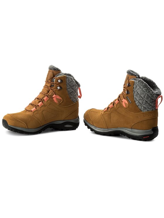 Salomon ellipse gtx hotsell