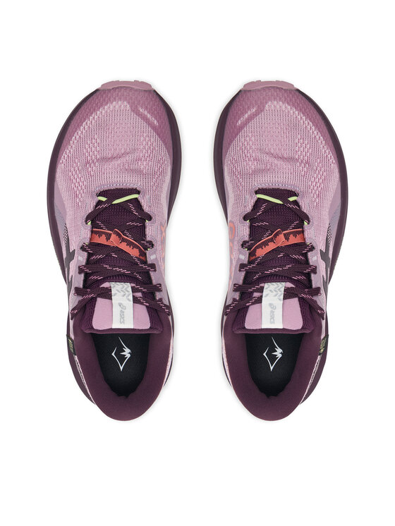 Asics Asics Jooksujalatsid Trabuco 14 Gtx 1012B936 Roosa