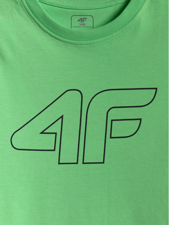 4F 4F T-Shirt BASIC+ Zelená Regular Fit