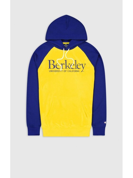 Champion Felpa HOODED SWEATSHIRT Multicolore Regular Fit Modivo