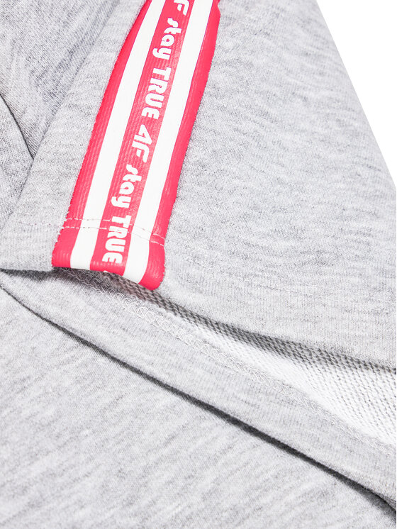 4F 4F Szorty sportowe HJL21-JSKDD002A Szary Regular Fit