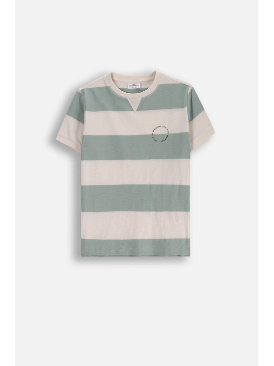 T-Shirt, rozmiar 146, Kolorowy, WC5143202WBJ-022