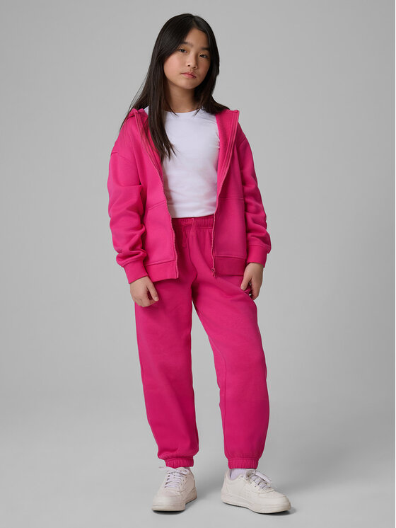 4F 4F Spodnie dresowe BASIC+ Różowy Regular Fit