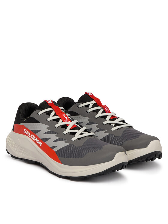 Salomon Salomon Bežecké topánky Alphaglide Gore-Tex L47975300 Sivá