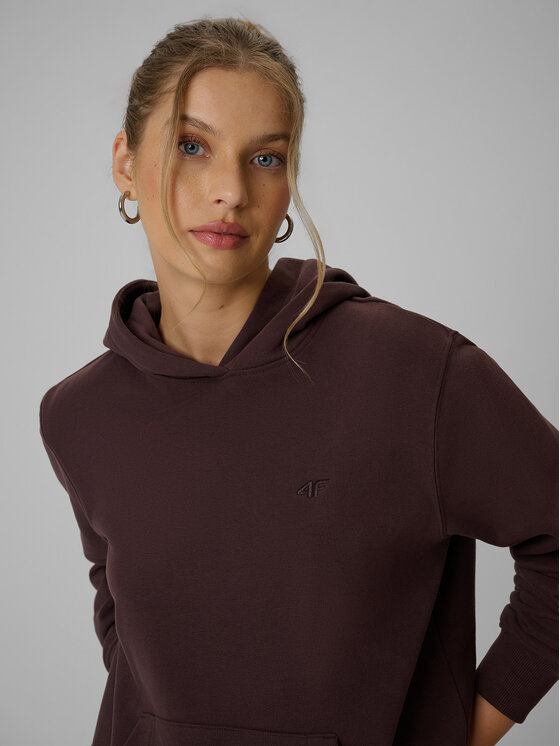 4F 4F Bluza BASIC+ Brązowy Relaxed Fit