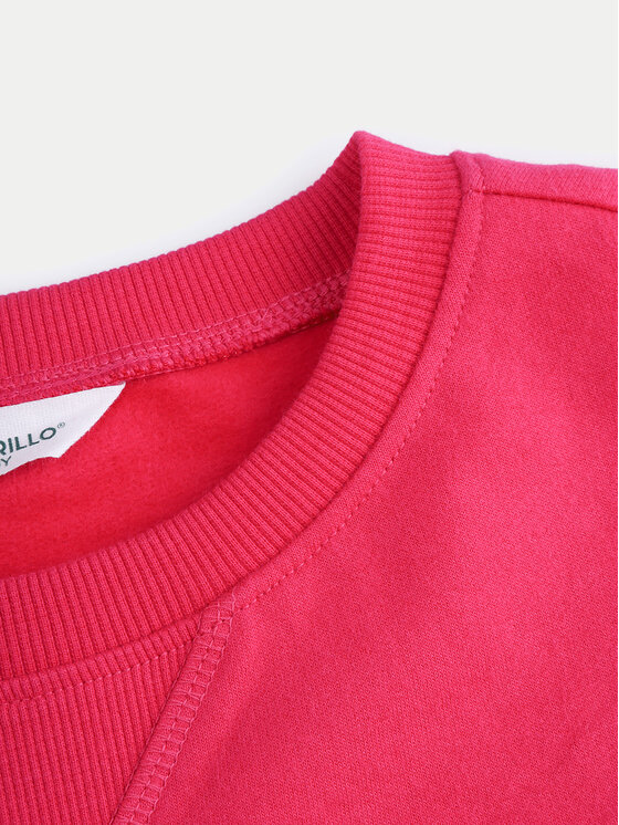 Coccodrillo Coccodrillo Felpa ZC4132601VGA Rosa Regular Fit