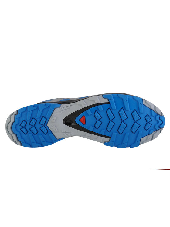 Salomon Salomon Buty do biegania XA Pro 3D v8 GTX Niebieski
