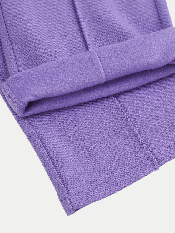 Coccodrillo Coccodrillo Jogginghose ZC4120101AGK Violett Regular Fit