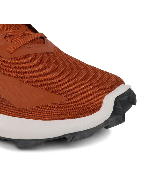 Salomon Salomon Tekaški čevlji Alphacross Blast 411035 28 W0 Rjava