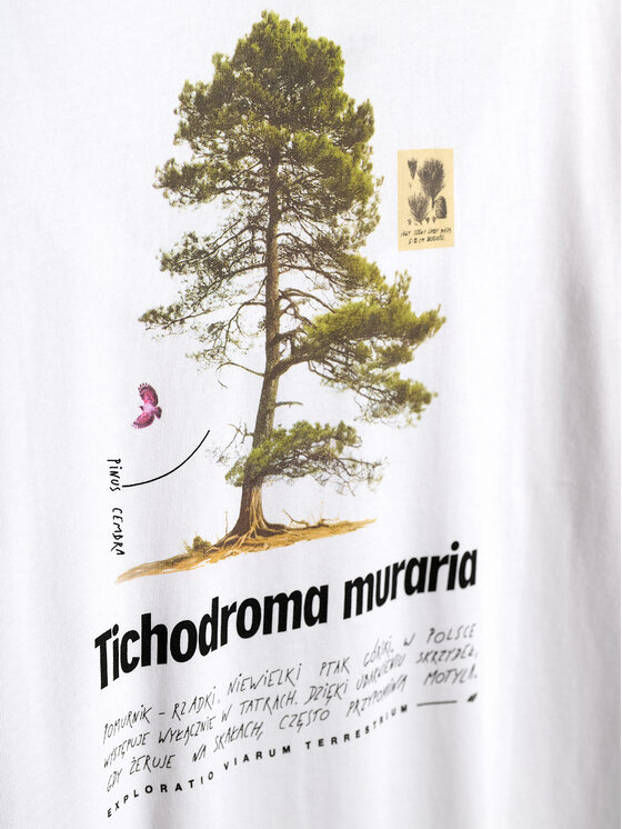 4F 4F T-Shirt OVERLAND Biały Regular Fit