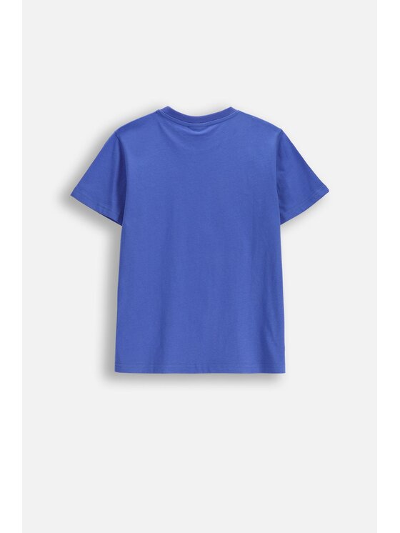 Coccodrillo Coccodrillo T-Shirt WC6143203VBB-014 Niebieski Regular Fit