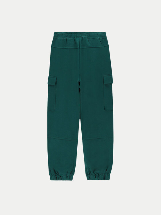 Coccodrillo Coccodrillo Jogginghose ZC4120101SGJ Grün Regular Fit
