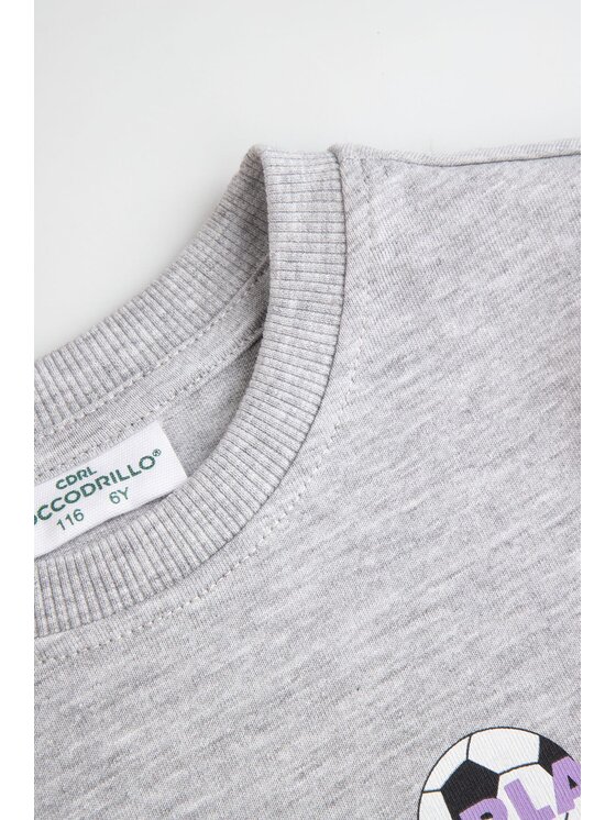 Coccodrillo Coccodrillo T-Shirt ZC6143203SBK-019 Šedá Regular Fit