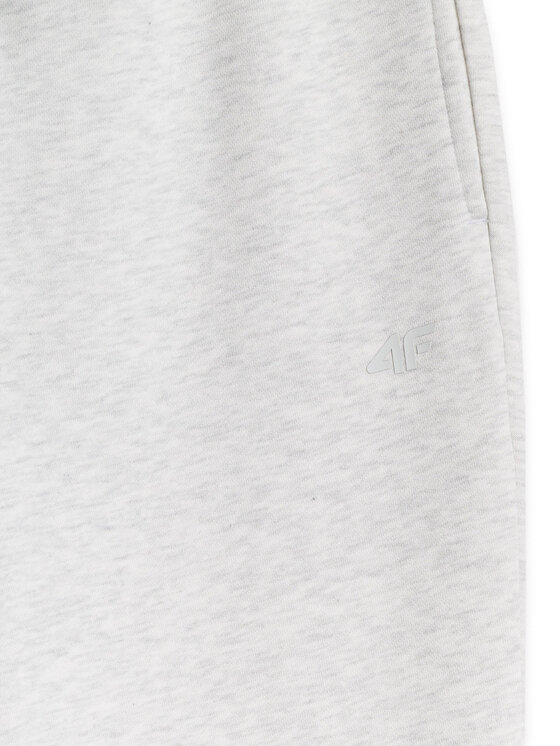 4F 4F Spodnie dresowe BASIC+ Szary jasny Regular Fit