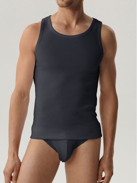 Atlantic Atlantic Podkoszulek basic Szary Regular Fit