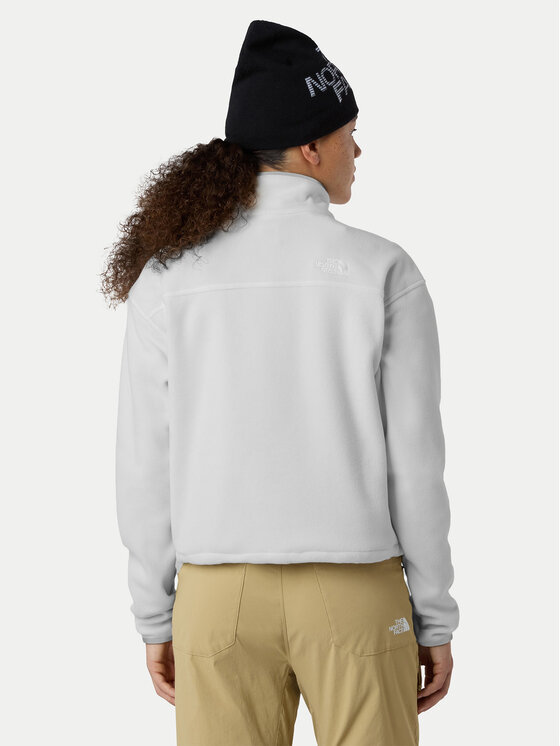 The North Face The North Face Fleecejacke Glacier NF0A8D2C Beige Regular Fit