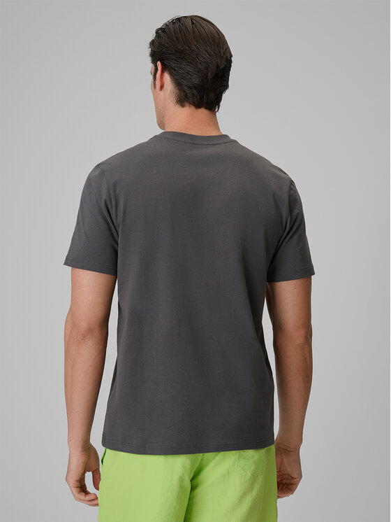 4F 4F T-Shirt CATCH THE WAVE Szary ciemny Regular Fit